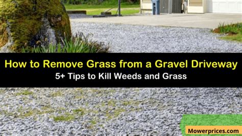 How To Kill Weeds In Gravel Driveway Naturally