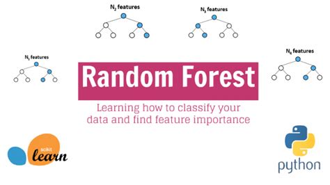 Random Forest Sklearn 2 Most Important Features In A Tutorial With Code