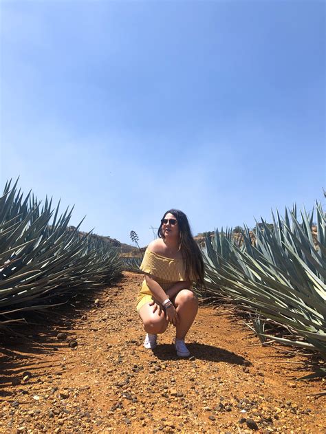 Things To Do In Tequila Jalisco My World My Travels