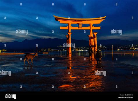 Miyajima torii gate Stock Photo - Alamy