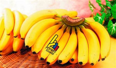 Ecuador Export Millones De Cajas De Banano En Registrando Un