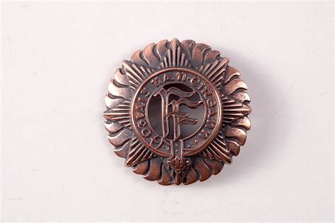 Irish Defence Forces Military Cap Badge Blitz Militaria