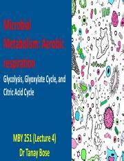 Understanding Microbial Metabolism Aerobic Respiration Key Course Hero