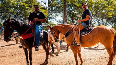 Venda De Cavalos De Ra A Feira De Cavalo Em Bezerros Pe S Bado