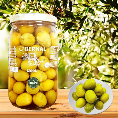 Qu Oliu Ho Ng H U Gordal Olives Bernal Gr Shopee Vi T Nam