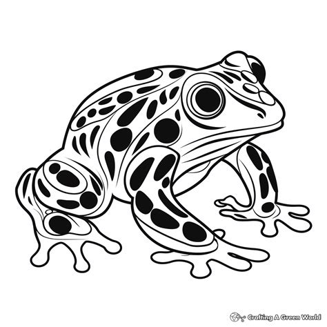 Poison Dart Frog Coloring Pages - Free & Printable!