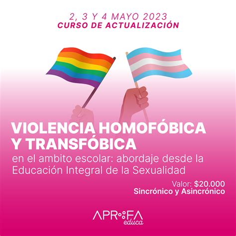 Curso Prevenci N De Violencia En El Pololeo Aprofa Educa