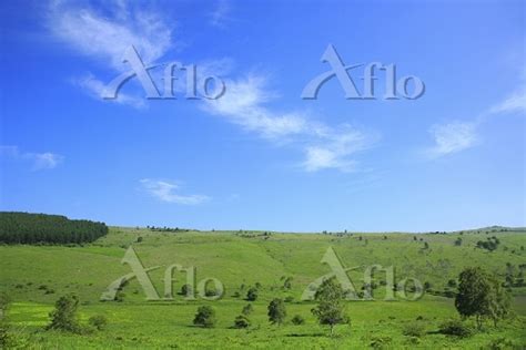 長野県 霧ヶ峰高原 池のくるみ踊場湿原と青空 26650086 の写真素材 アフロ