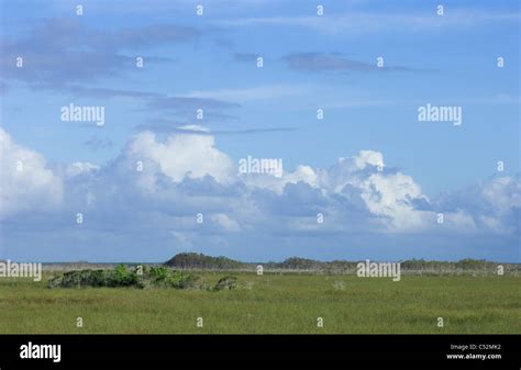 Everglades National Park Enp Stock Photo Alamy