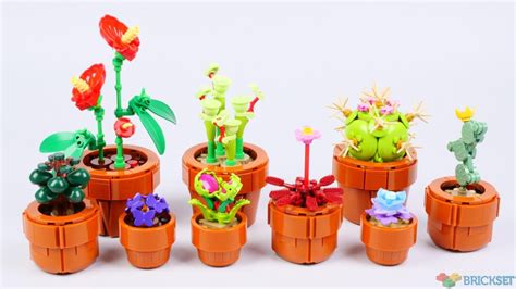 LEGO Botanical Collection 10329 Tiny Plants is more pot than plant