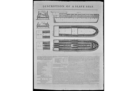 Slave ship image helped end slavery, new book shows | Department of History of Art and Visual ...