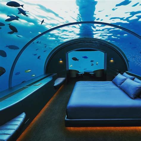 97 Craziest, Weirdest and Most Genius Surprises People Encountered on ...