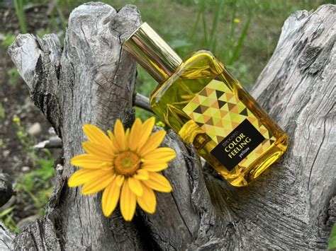 Color Feeling Yellow Brocard fragancia - una fragancia para Hombres y ...