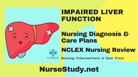 Nursing Considerations For Enlarged Liver Ask The Nurse Expert