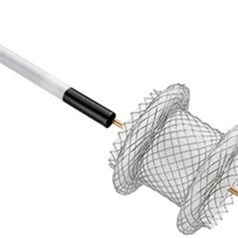 Lumen Apposing Metals Stents In Advanced Endoscopic Ultrasound Guided