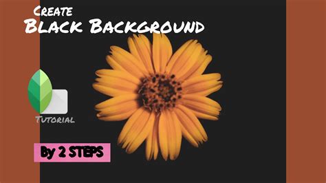 How To Create Black Background Pictures Snapseed Editing Tutorial