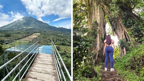 La Sabana Un Parque Ecol Gico Con Un Impresionante Mirador De Vidrio Y