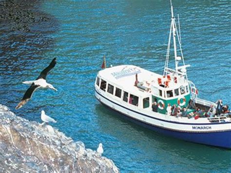 Port Chalmers Shore Excursion Otago Wildlife Boat Larnach Castle