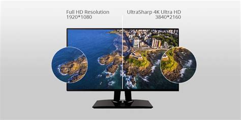 15 Best Monitors For Photo Editing In 2022