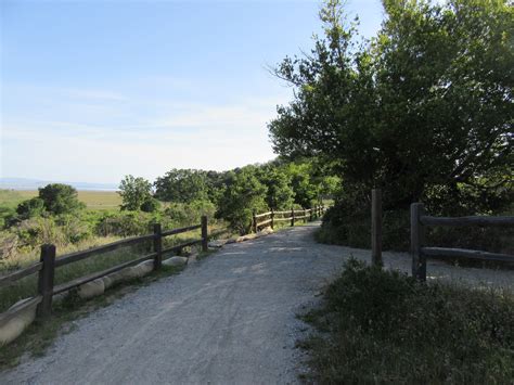 Shoreline Trail to Oak Ridge Trail Loop – Map & Boots