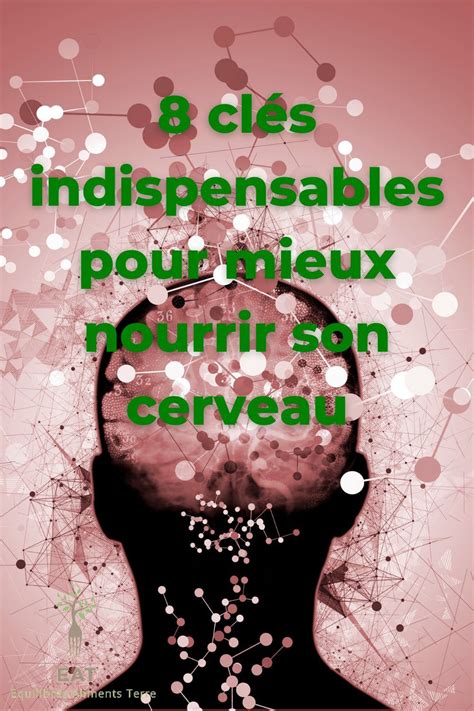 Cl S Pour Mieux Nourrir Son Cerveau Cerveau Nutrith Rapie