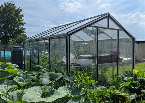 The Absolute Best Greenhouse Kits To Buy In 2024 Greenhouse Hunt