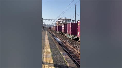 鯖江駅を通過する貨物列車 鉄道 北陸本線 貨物列車 Youtube