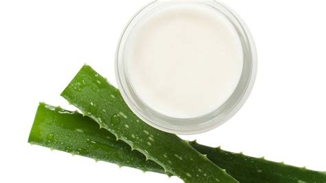 ¿cómo Hacer Crema Hidratante De Aloe Vera Receta Casera Fácil Y Rápida