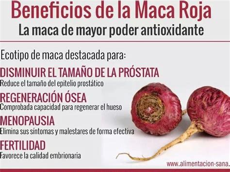 Descubre los increíbles beneficios de consumir maca roja para tu salud