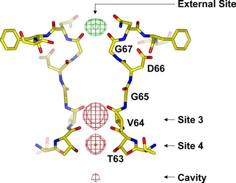 Structural Insight Into Ca Specificity In Tetrameric Cation Channels