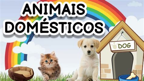 Animais Dom Sticos Educa O Infantil Animais Que Podem Morar Na Nossa