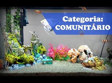 Meio Ambiente Aquários Caça E Arma - 1º Concurso de Aquários Meio Ambiente - Categoria COMUNITÁRIO - YouTube