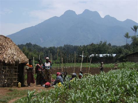 Growing together in Rwanda: The second Twa village