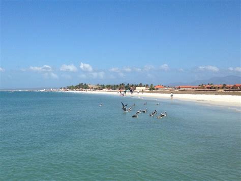 Isla De Coche Edo Nueva Esparta Venezuela Beach Water Outdoor