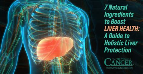 7 Natural Ingredients to Boost Liver Health: A Guide to Holistic Liver ...