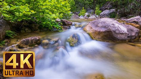 Clear Mountain Stream Amazing 4k Nature Scene And Nature Sounds