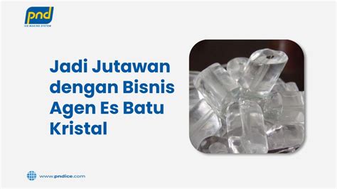 Jadi Jutawan dengan Bisnis Agen Es Batu Kristal - PND Ice