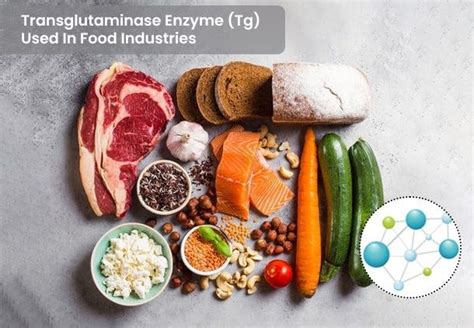 Transglutaminase Enzyme Used Tg In Food Industries — Ultreze Enzymes