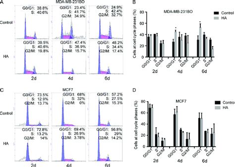 Ha Prolonged Mda Mb Bo Cell G G Phase Of The Cell Cycle Breast