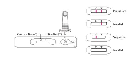 Gonorrhea Rapid Test Cassette Stdsti Self Test At Home Otc