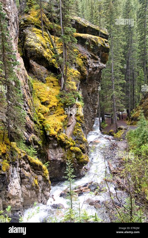 Sundance Canyon, Cave Basin Trail, Banff, Alberta, Canada Stock Photo ...