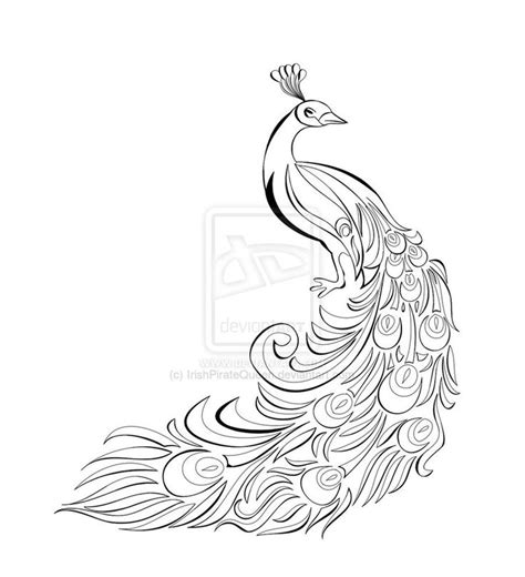 Peacock Black And White Drawing At Getdrawings Free Download