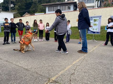 Mascote Da Defesa Civil Ajuda Estudantes Em Atividades Nas Escolas