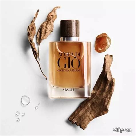 N C Hoa Nam Giorgio Armani Acqua Di Gio Absolu Edp Vilip Shop M