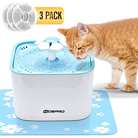 Cat Water Fountain Flower Cat Fountain with 2 Replacement Filters Small ...