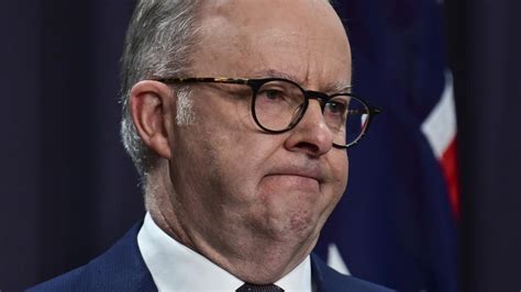 Andrew Bolt Anthony Albaneses Honeymoon As Pm Is Finally Over Daily