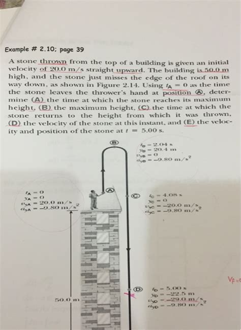 Solved A Stone Thrown From The Top Of A Building Is Given An Chegg