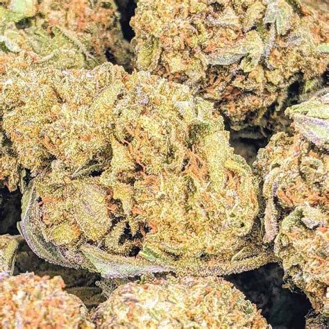 Wet Dream Budget Buds Buy Weed Online Online Dispensary