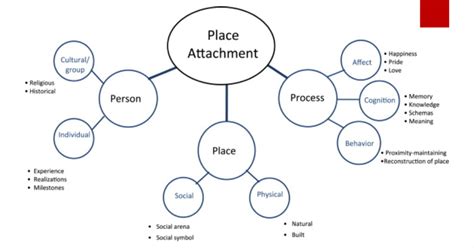 Place Attachment Diagram Quizlet