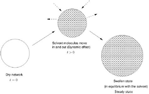 Figure 3 From Total Lagrangian Finite Element Formulation Of The Flory